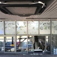 Sticker-cutting-Bali sticker cutting bali